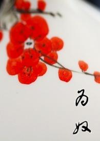BL-为奴 BL-为奴