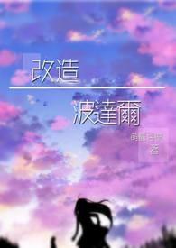 改造─波达尔 改造─波达尔